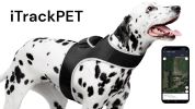Remote Pet Surveillance Pet Tracker Waterproof Collar Mounted GPS for Pet Size:M