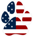 Your Dog USA